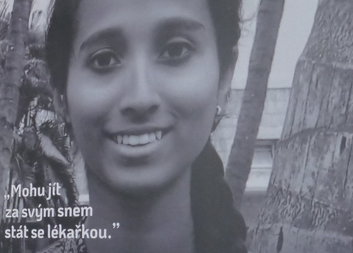 Nová výstava v Českých Heřmanicích