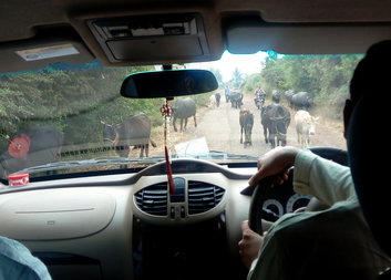 S humorem na cestách po Indii