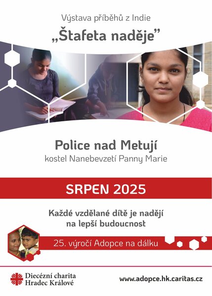 08_2025 ŠN - Police n. M., NPM